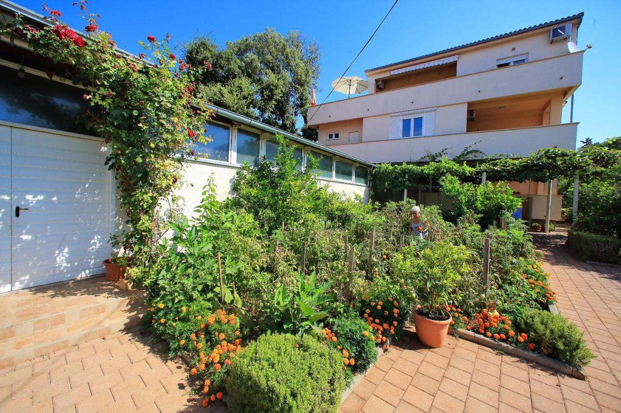 Sunny Apartments Bibinje Luaran gambar